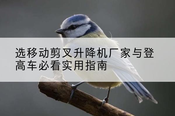 天柱电动升降机厂家-选移动剪叉升降机厂家与登高车必看实用指南