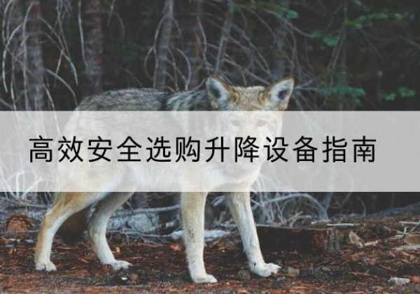 天柱升降货梯厂家推荐-*安全选购升降设备指南